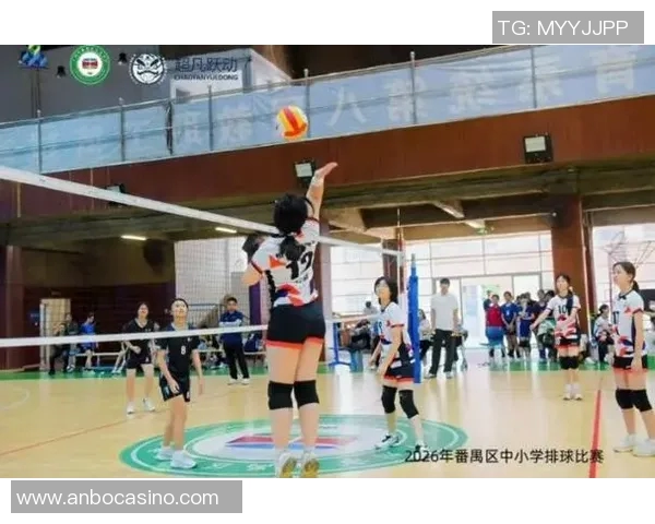 2026年3月份新闻广州排球队的意识提升与团队协作探讨聚焦排球发展新方向